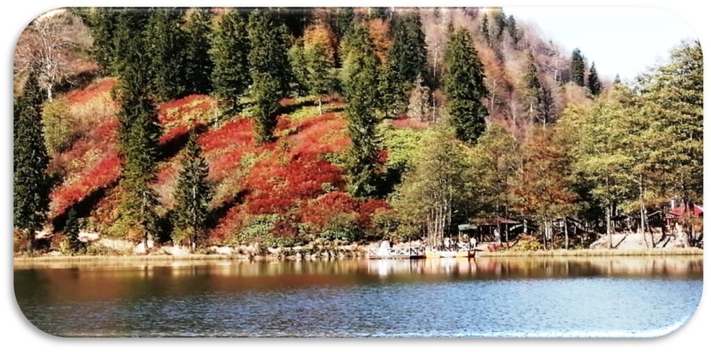 Colorful nature of Artvin Borcka Karagol lake.